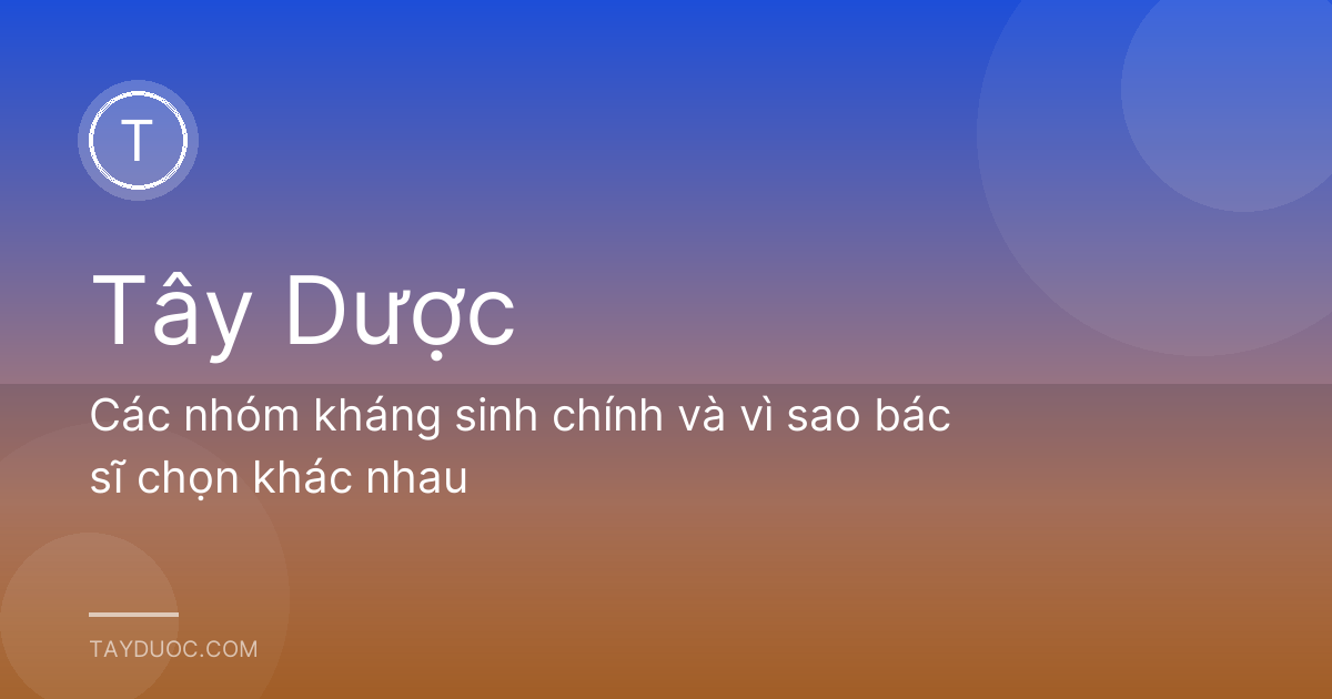 Các nhóm kháng sinh chính và vì sao bác sĩ chọn khác nhau